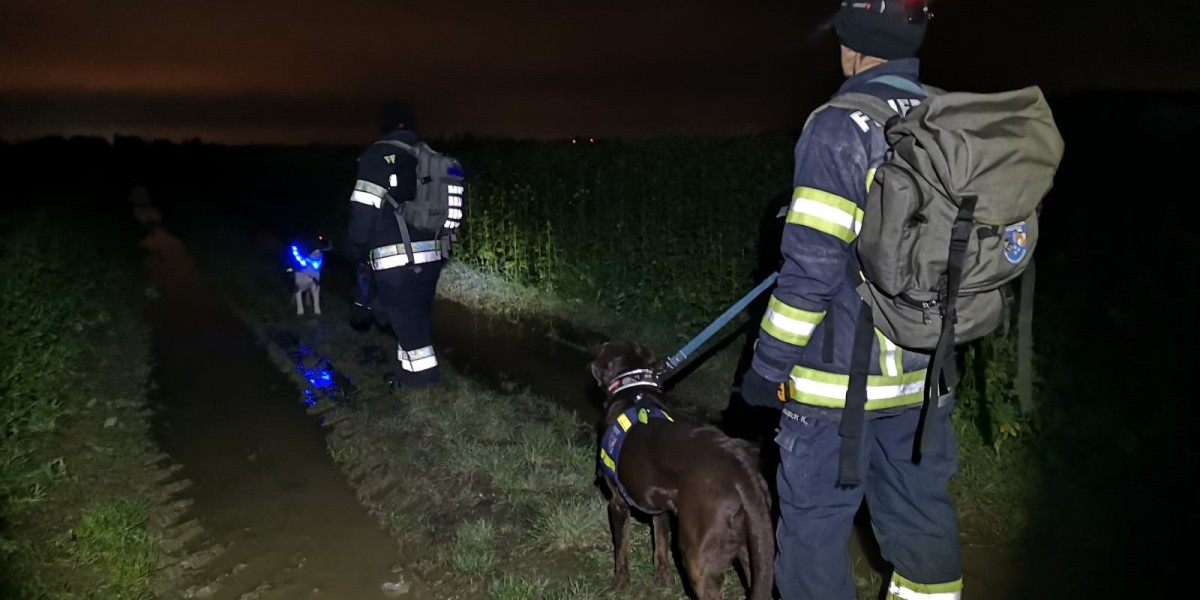 02.12.2019 - Rettungshunde-Suchaktion in Marchtrenk