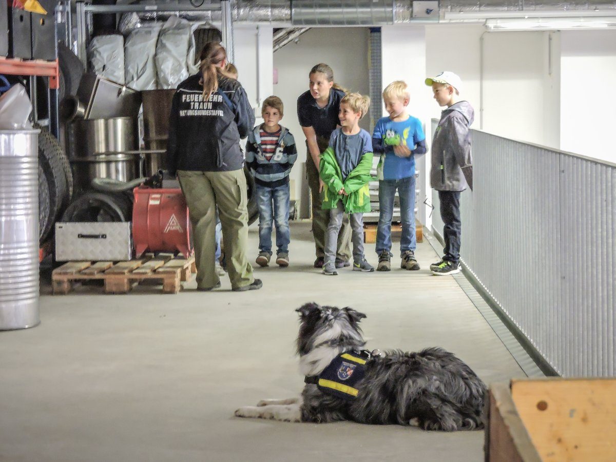 Foto: Florian Kollmann
