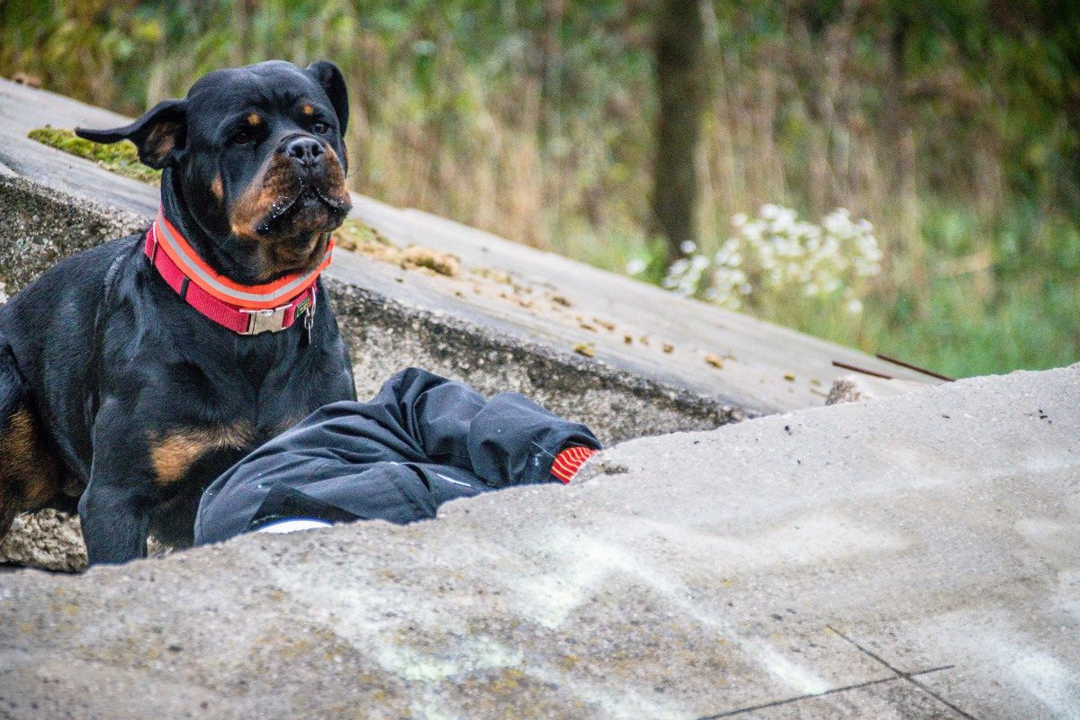 Foto: Tabea Grace Kitzm&uuml;ller
