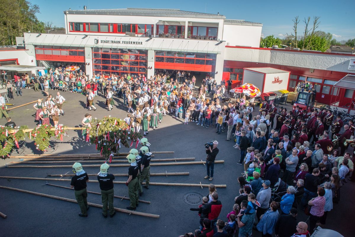 maibaum2