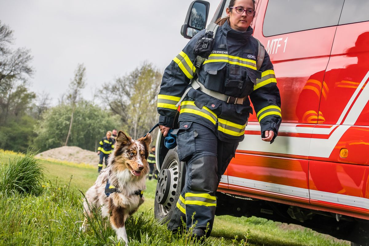 Kiwistar Targhetta Magnetica 'Feuerwehr Rettungshunden Gestreift' - Adesivo Magnetico Per Auto, Alta Qualità Orafol, Resistente Al Vento