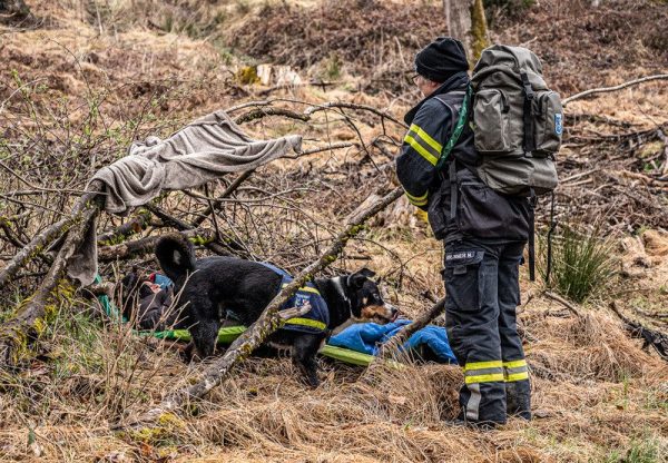 Foto: Hubert Wilflingseder