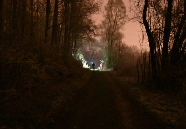 Foto: Hubert Wilflingseder