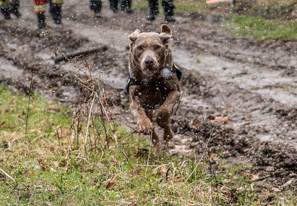 Foto: Hubert Wilflingseder