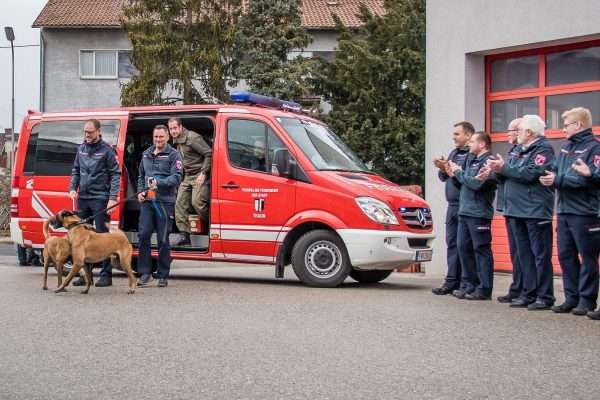 erdbebenempfang 08